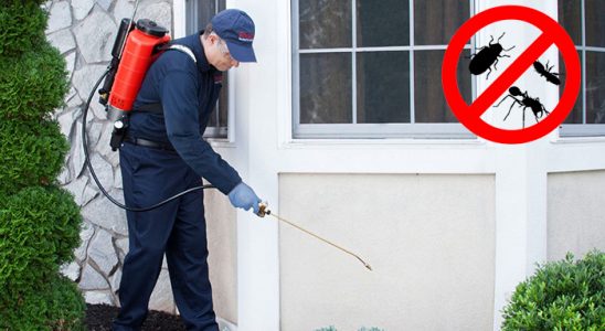 Çubuk Tahtakurusu İlaçlama böcek ilaçlama ve haşere kontrolü — ilaclama-tr.com